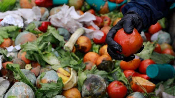 El mundo desperdicia millones de toneladas de alimentos cada año, dice la  ONU – Diario Eyipantla Milenio