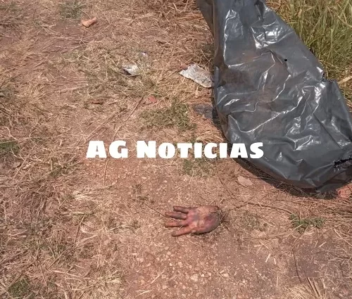 Macabro hallazgo: arrojan manos humanas en zona rural de Acayucan