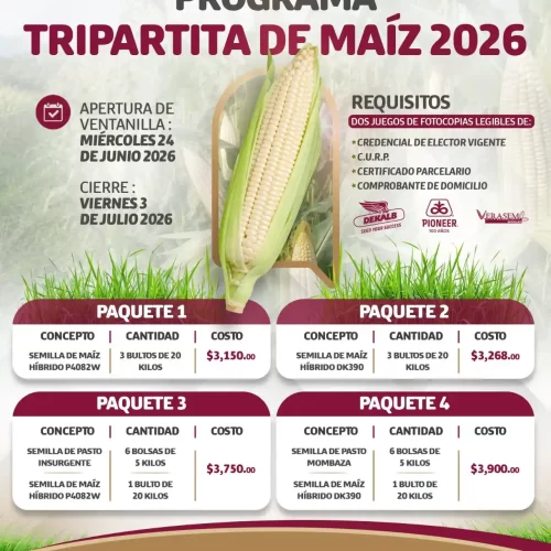 Abren ventanilla del Programa Tripartita de Maíz 2026 en San Andrés Tuxtla