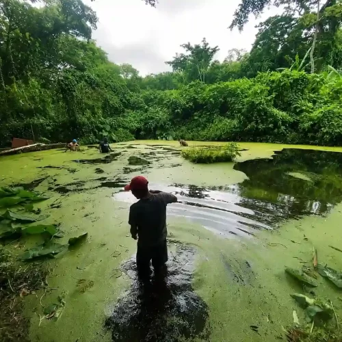 CMAPS realiza limpieza en nacimiento San Simón para fortalecer el abastecimiento de agua