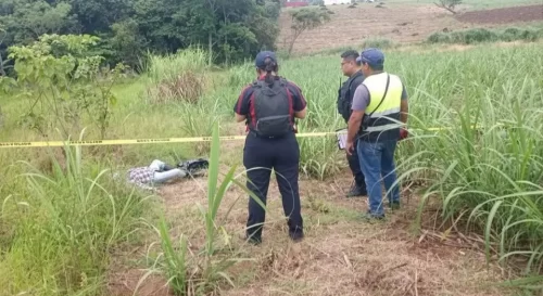 Hallan sin vida a hombre en predio cañero de Amatlán de los Reyes