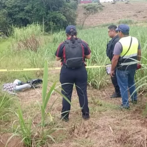 Hallan sin vida a hombre en predio cañero de Amatlán de los Reyes