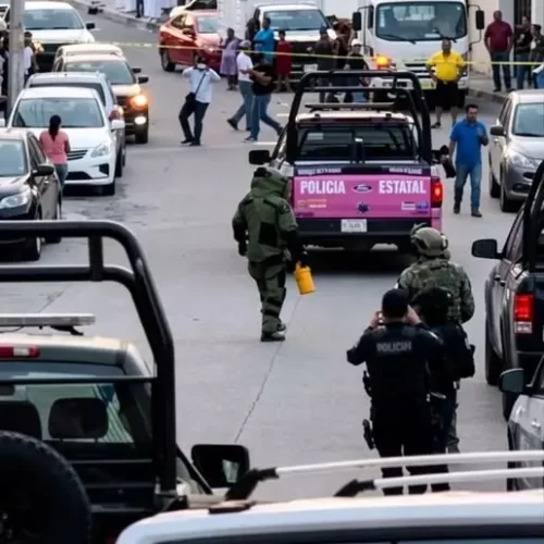 Aseguran presunto explosivo y droga durante cateo en Papantla