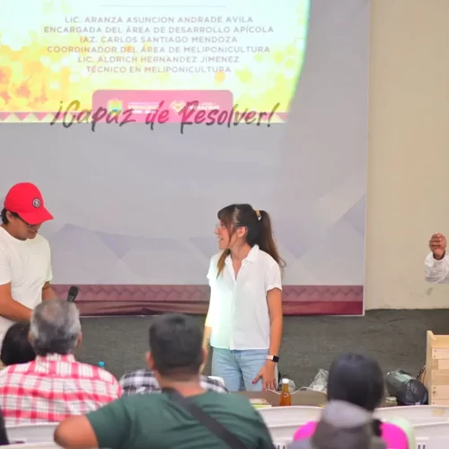 Impulsan conservación de abejas nativas con taller de meliponicultura en San Andrés Tuxtla