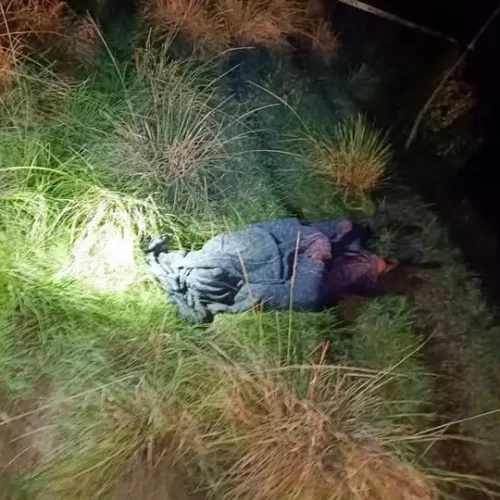 Campesino muere tras ser atacado por un cocodrilo al intentar rescatar a su yegua en Tuxpan