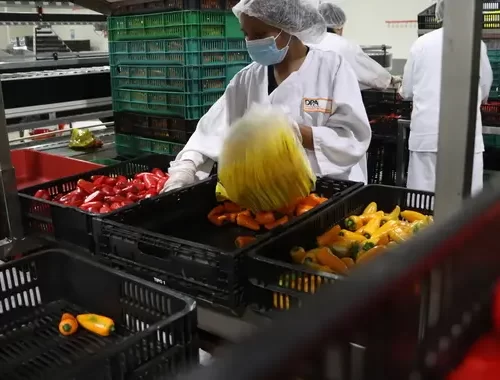Agricultura se une a los esfuerzos del Día Mundial de la Inocuidad de los Alimentos 2026