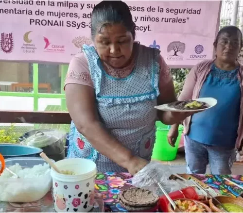 Con abonos naturales, productoras mejoran calidad de sus cosechas