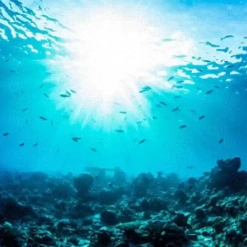 El futuro de la humanidad depende de proteger el océano