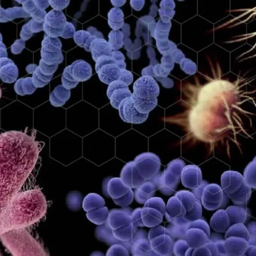 Inmegen impulsa análisis genómico para combatir resistencia de bacterias a antibióticos