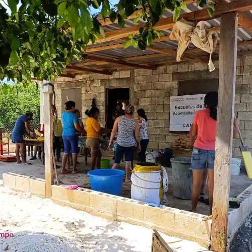 Escuelas de Campo: Veracruz entre las entidades líderes en producción de cera de abeja