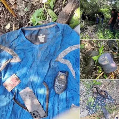 Hallan ropa y calzado durante jornada de búsqueda de personas desaparecidas en Chiapas