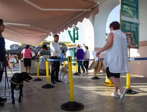 Senasica refuerza inspección a más de 5 millones de turistas que visitan México durante Mundial
