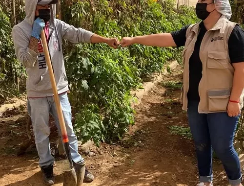 INEA fortalece atención a personas jornaleras agrícolas; 958 reciben servicios educativos en el país: SEP