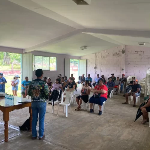 Fortalecen protección de tortugas marinas con capacitación en Los Tuxtlas