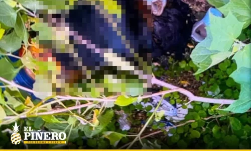 Hallan los cuerpos de dos mujeres en Oaxaca; investigan posible relación con homicidio y desaparición