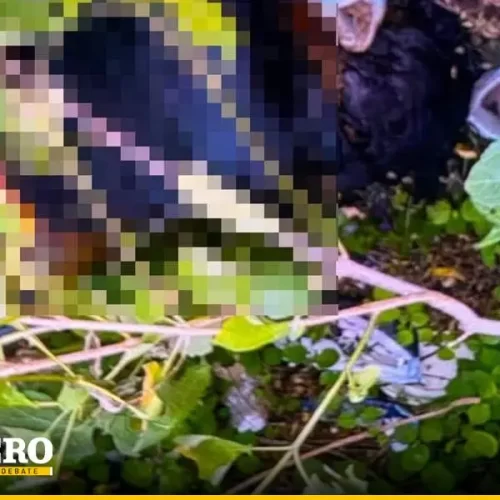 Hallan los cuerpos de dos mujeres en Oaxaca; investigan posible relación con homicidio y desaparición