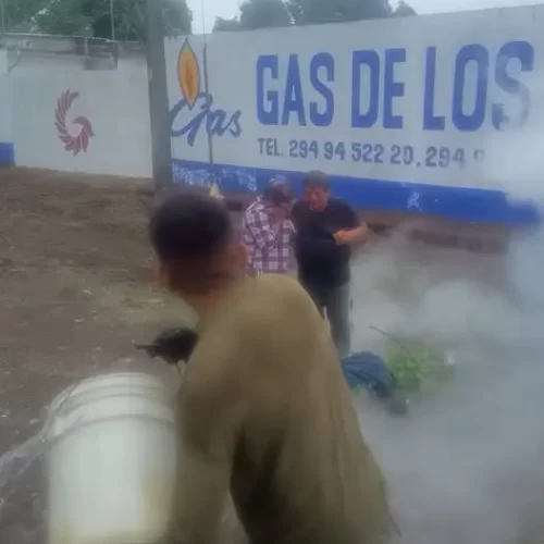 Pareja de adultos mayores resulta lesionada tras ataque de abejas en Matacapan