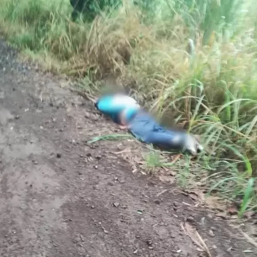 Localizan cuerpo de un hombre con huellas de violencia en camino de terracería entre Lerdo de Tejada y Ángel R. Cabada