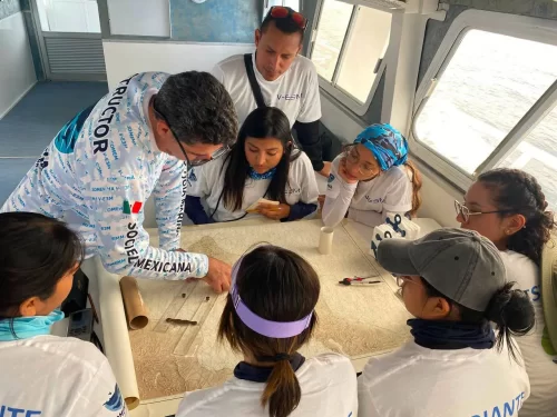 Fortalecen acciones de conservación marina con capacitación en Baja California Sur