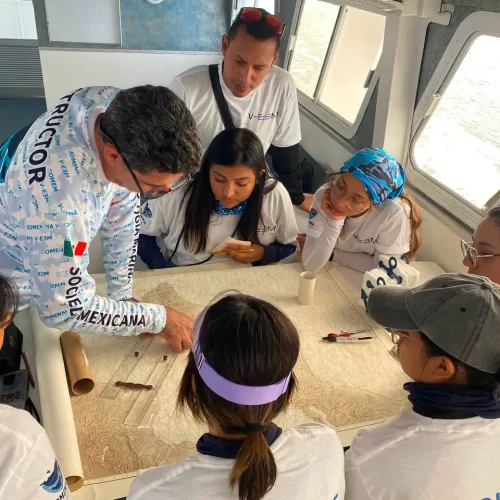 Fortalecen acciones de conservación marina con capacitación en Baja California Sur