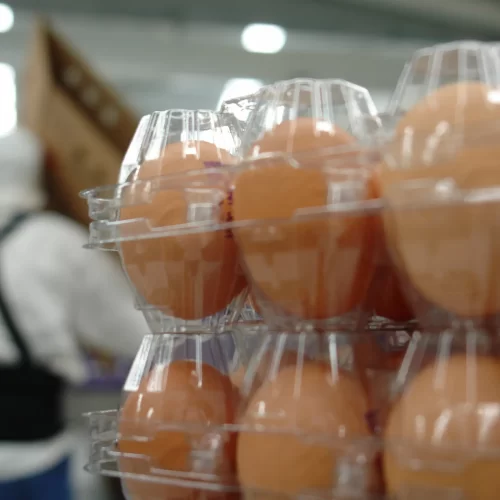 Huevos a la baja, un alivio para tu cartera