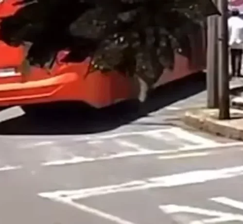 Captan en video atropellamiento de adulto mayor por autobús en Orizaba