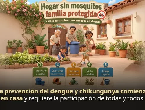 Piden reforzar acciones para prevenir dengue y chikungunya durante la temporada de lluvias