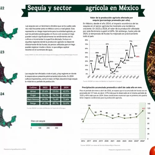 Sequías y lluvias en México, un panorama para la agricultura en 2026
